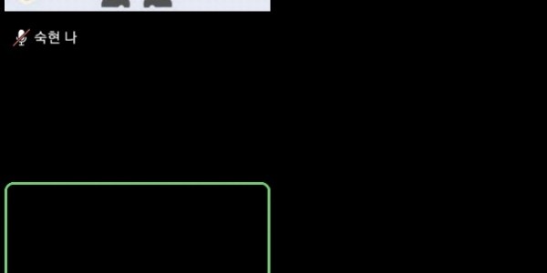 6. 지난 12~15일 화상회의 앱인 줌으로 열린 학습캠프 모습.jpg