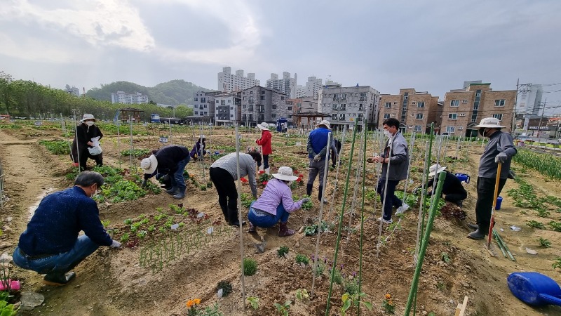 4. (2) 220323_용인시, 도시농업 전문가 육성하는 _도시농업관리사_ 교육생 15명 모집_사진.jpg