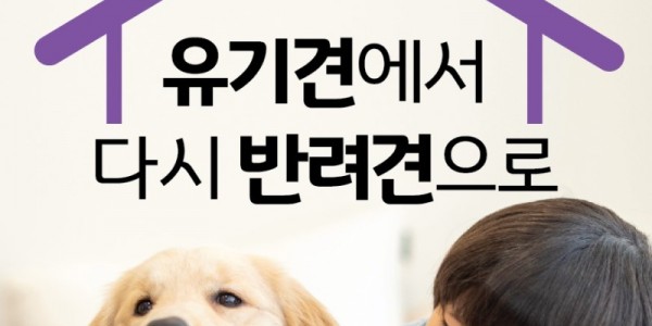 3. 220303 용인시 동물보호센터에서 반려가족 만나세요_광고포스터.jpg