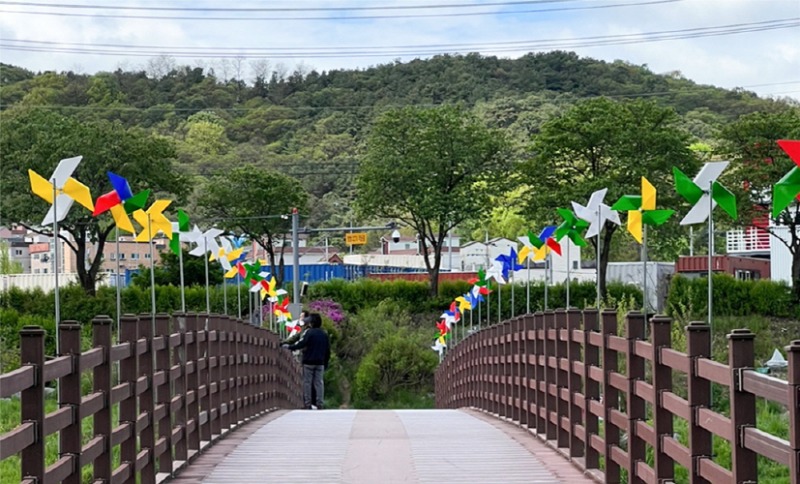 [크기변환]10-2 유림동 인정프린스아파트와 성산초등학교 사이에 있는 구름다리에 바람개비를 살치한 모습.jpg