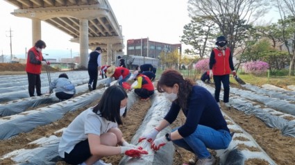 [크기변환]7-1 포곡읍 주민자치위원회는 11일 행정복지센터 인근 유휴지에서 포곡중학교 학생 20여명과 텃밭 가꾸기를 시작했다..JPG