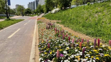 [크기변환]11-1. 죽전2동, 탄천 등 주민 산책로 5곳 환경 정비_사진(1).jpg