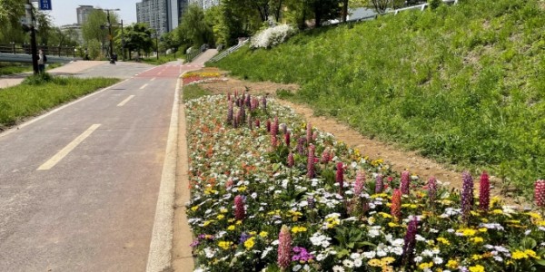 [크기변환]11-1. 죽전2동, 탄천 등 주민 산책로 5곳 환경 정비_사진(1).jpg