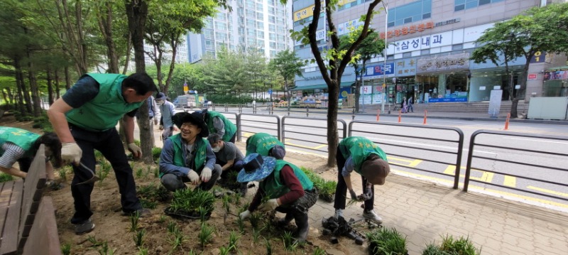 [크기변환]8-2. 새마을지도자협의회 관계자들이 원주목 화단에 맥문동을 심고 있다..jpg