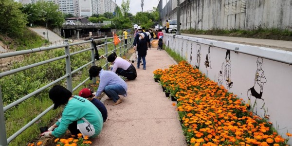 6. 구성동 주민들이 분양받은 꽃밭에 꽃을 심고 있다..jpg