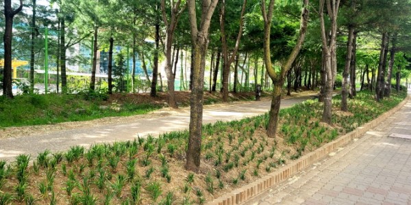 [크기변환]8-1. 동백1동이 주민주도 마을만들기 사업의 일환으로 동백고등학교 일원을 ‘걷고 싶은 길’로 조성했다..jpg