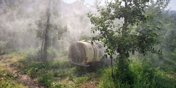 [크기변환]4-1. 처인구 원삼면의 한 사과농가에서 돌발병해충 약제를 살포하고 있는 모습.JPG