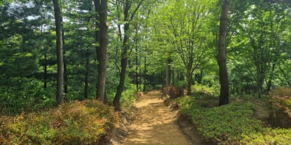 [크기변환]2-1. 도담근린공원.jpg