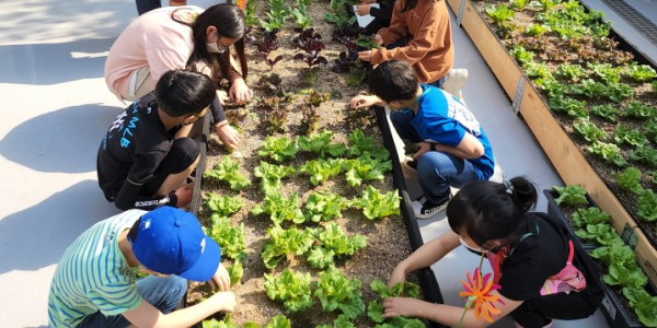 [크기변환]3. 역북동 주민자치위 텃밭정원.jpg