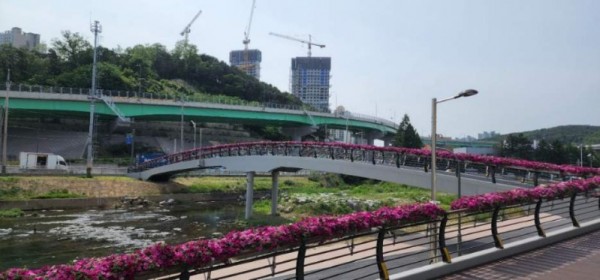 5-2. 핑크빛으로 물든 신갈천 인도교.jpeg