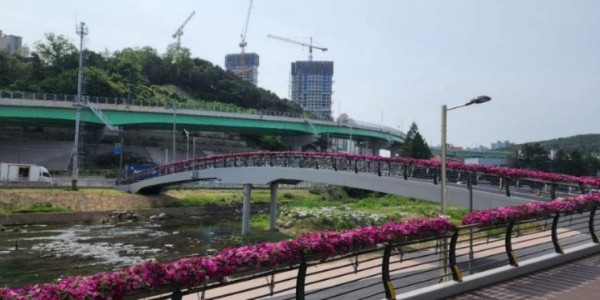 5-2. 핑크빛으로 물든 신갈천 인도교.jpeg