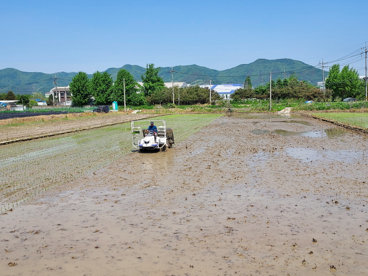 [크기변환]1. 220615_용인시, 백옥쌀 생산단지 농업인 747명 대상 찾아가는 교육 진행_사진(1).jpg