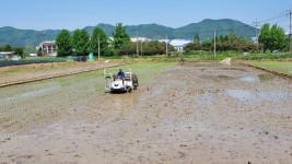 [크기변환]1. 220615_용인시, 백옥쌀 생산단지 농업인 747명 대상 찾아가는 교육 진행_사진(1).jpg