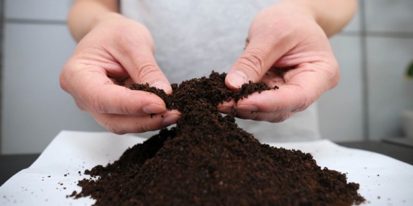 2. 시 관계자가 사무실에서 생긴 커피박을 모아 정리하고 있다..JPG