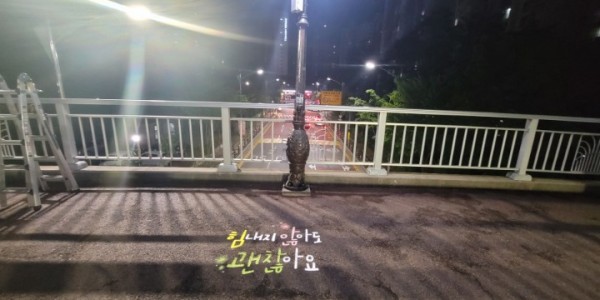 5-3. 새물공원 보도육교 로고젝터.jpg