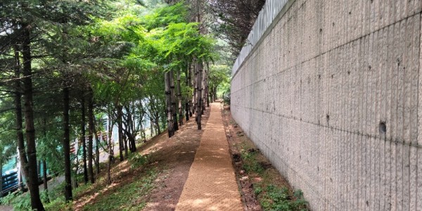 8. 죽전3동이 포은대로 옆 오솔길 520m 구간을 야자매트로 정비했다..jpg
