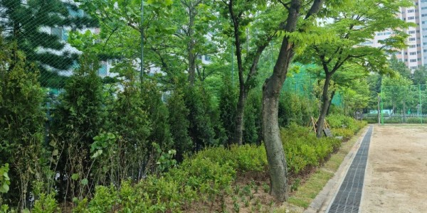 2. 220623_용인시, 수지구 토월초교 내 유휴공간 학교숲으로 탈바꿈_사진(1).JPG