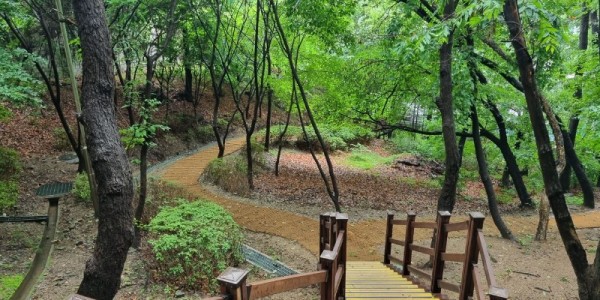 1. 용인시가 정비한 대지산근린공원 산책로 모습.JPG