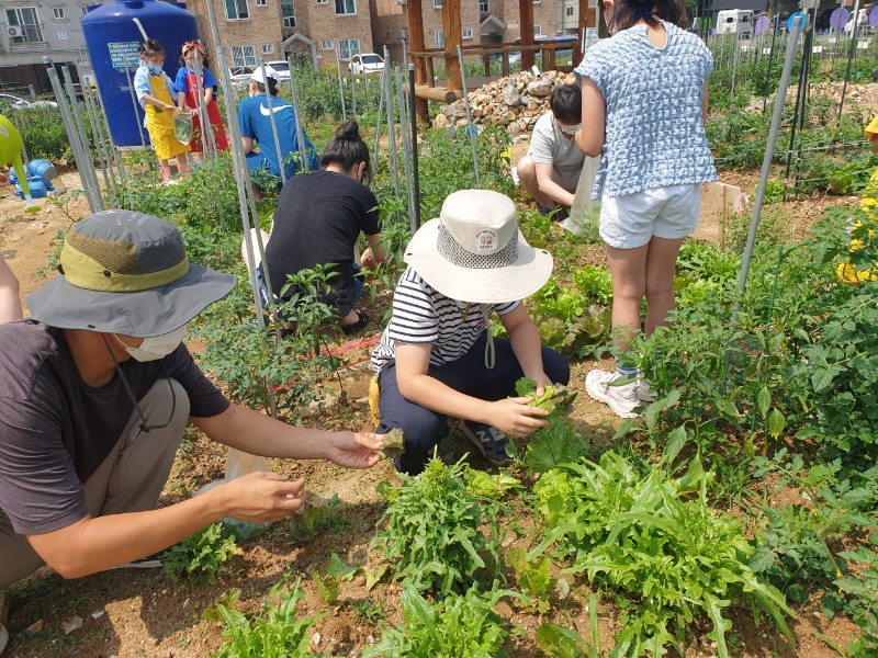 6. 용인시 어린이농부학교 모습 (1).jpg