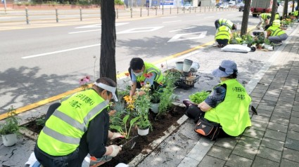 5-1. 신갈동 통장협의회와 노인회 등 주민 30여명이 가로수 주변에 꽃을 심고 있다..jpg