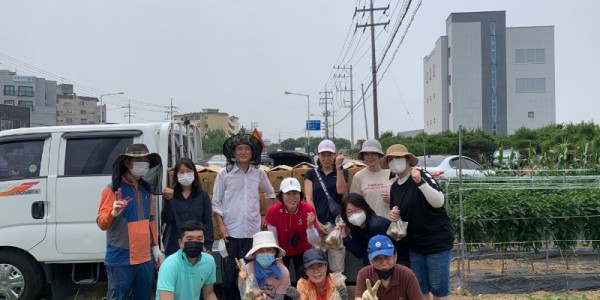 4. 구성동 통장협의회가 성금 마련을 위한 감사를 수확한 뒤 기념촬영을 하고 있다..jpg