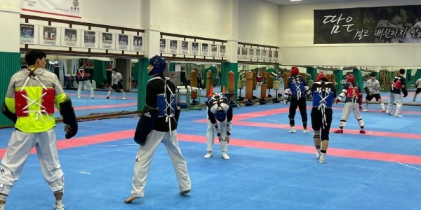 1. 용인시 직장운동경기부 태권도 선수들이 훈련을 하고 있다.jpg