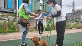 2. 용인시는 지난 12일 반려동물 등록을 안내하고, 동물등록ㆍ입마개ㆍ배변 치우기 등 올바른 반려동물 문화 확산을 위한 캠페인을 벌였다..jpg