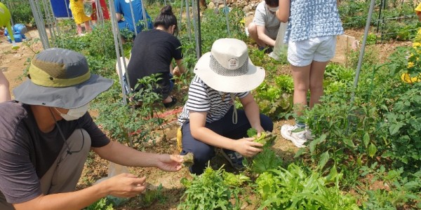 6. 용인시 어린이농부학교 모습 (1).jpg