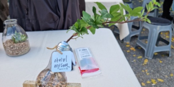 6. 아이비 화분 모습.jpeg