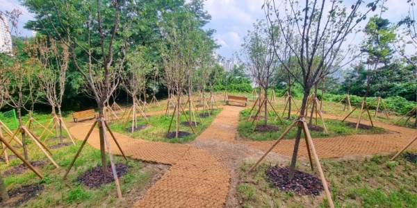 3-3. 새로 수목을 식재하고 등의자를 설치한 샘골근린공원.jpg