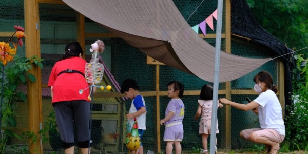 3-1. 주말 농장 체험 운영 모습.JPG