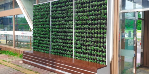 6-2. 수지구 동천역 버스환승센터 벽면에 설치된 수직 정원.jpg