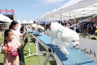 27일 용인특례시청 하늘광장에서 열린 반려동물축제 ‘용인시와 행복하개’에서 시민들이 즐거운 한때를 보내고 있다. (2).jpg