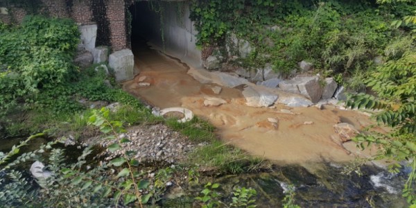 9-2. 수질이 오염된 성복천 모습.jpg