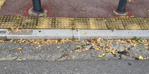 5. 도로와 인도를 구분하는 역할을 하는 횡단보도 경계석.jpg