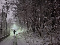 6-1. 최우수 가득한 추억들 그리고 기흥동(김지민 작).jpg