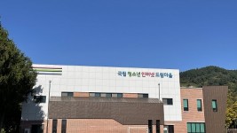 국립청소년인터넷드림마을.jpg