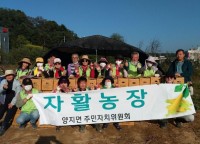 3. 양지면 주민자치위원회가 어려운 이웃을 위한 ‘고구마 수확 행사’를 진행했다..jpg