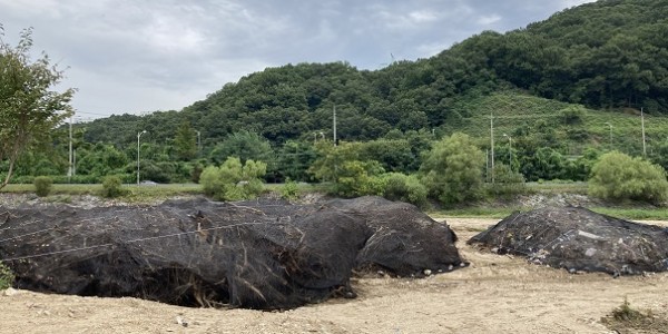 2-2. 낙생저수지 수해 폐기물이 방치돼있다.JPG