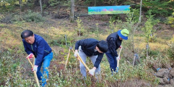 용인특례시는 특례시 승격 원년을 기념해 용인자연휴양림 내에 시목 전나무와 시화 철쭉을 식재했다. .JPG