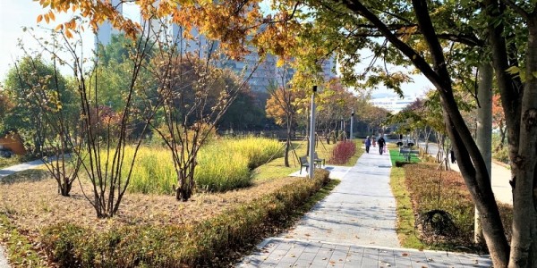 2-2. 리모델링을 마친 둔전리 쉼터.jpg