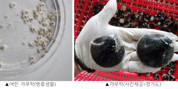 2022-10-24 12;59;36.PNG