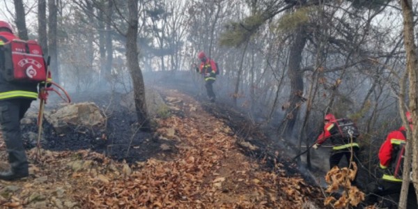 3-2. 지난 3월 발생한 산불의 잔불을 산불진화대원들이 정리하고 있다..JPG