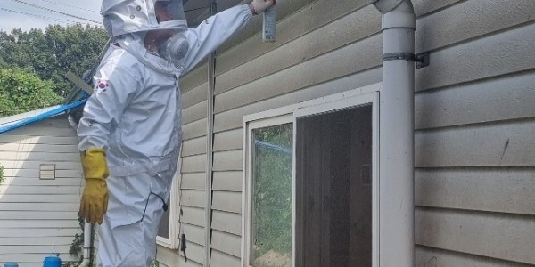 의용소방대 생활안전전문대 벌집제거.jpg