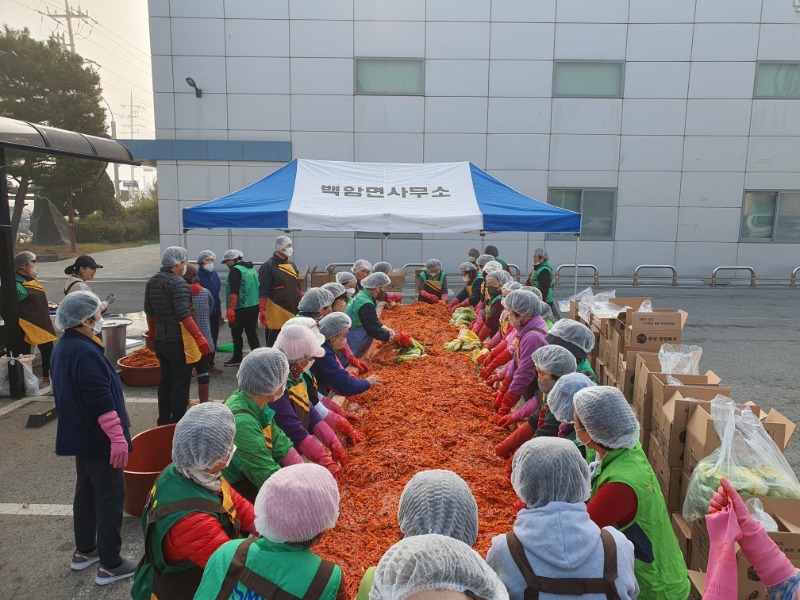 4. 백암면 부녀회가 사랑의 김장나눔 행사를 열었다.jpg