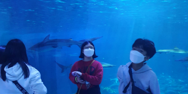 2022-11-06 07;39;20.PNG