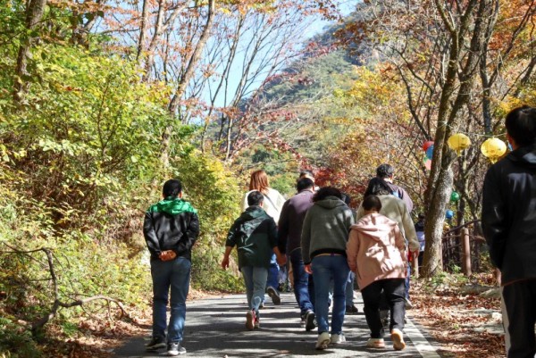 4-2. 관내 한 장애인거주시설 입소자들이 제천 덕주사 단풍길을 걷고 있는 모습.JPG