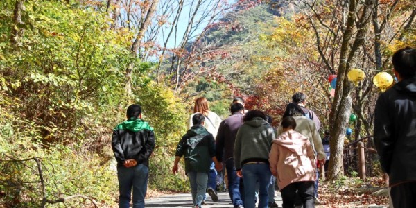 4-2. 관내 한 장애인거주시설 입소자들이 제천 덕주사 단풍길을 걷고 있는 모습.JPG