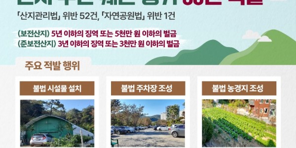 도 특사경， 축구장 3배 규모 산지 무단훼손 행위 53건 적발.jpg