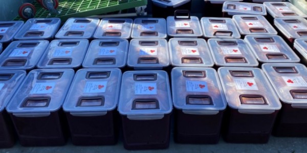 6. 동백2동은 지난달 30일 지역사회보장협의체(민간위원장 박혜정)와 함께 저소득 어르신 30명에게 김장 김치 300㎏을 전달했다..jpg